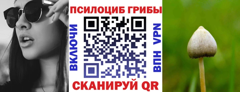нарко площадка наркотические препараты  купить закладку  Нижняя Тура  Галлюциногенные грибы Magic Shrooms 